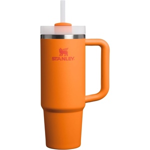 STANLEY Quencher H2.0 Flow State Tumbler, 20 oz, Frost Sprinkle(Goldenrod Coral)