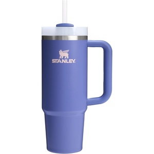 STANLEY Quencher H2.0 Flow State Tumbler, 20 oz, Frost Sprinkle(Lupine)