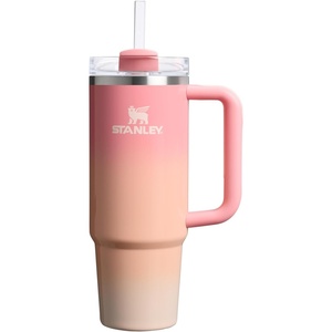 STANLEY Quencher H2.0 Flow State Tumbler, 20 oz, Frost Sprinkle(Pink Mesa Sunset)