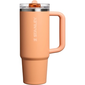 STANLEY Quencher ProTour Flipstraw Tumbler, 30 oz, Multi Interfusion(Oasis Apricot)