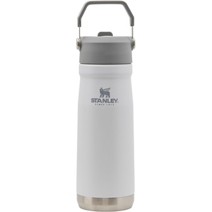 STANLEY IceFlow Flip Straw Water Bottle 17 oz | Built-In Straw for Travel and Sports | Lightweight and Leak Resistant | Insulated Stainless Steel | BPA-Free | Polar(Polar (1.0))