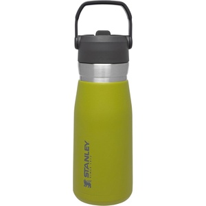 STANLEY IceFlow Flip Straw Water Bottle 17 oz | Built-In Straw for Travel and Sports | Lightweight and Leak Resistant | Insulated Stainless Steel | BPA-Free | Polar(Aloe)