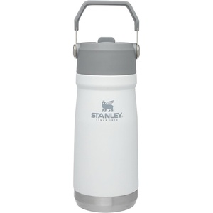 STANLEY IceFlow Flip Straw Water Bottle 17 oz | Built-In Straw for Travel and Sports | Lightweight and Leak Resistant | Insulated Stainless Steel | BPA-Free | Polar(Polar)