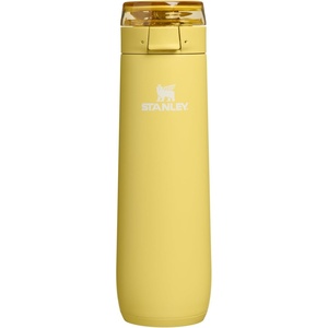STANLEY Flowstate Spring Bottle, 20 oz, Ash(Daffodil)