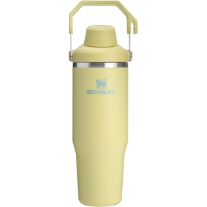STANLEY IceFlow 2.0 Fast Flow Tumbler, 30 oz, Pomelo(Pomelo)