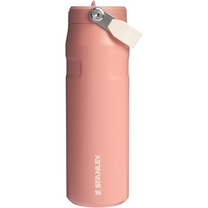 STANLEY IceFlow Flip Straw 2.0 Bottle, 24 oz, Caitlin Clark Future(Exclusive Sienna)