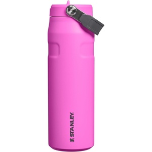 STANLEY IceFlow Flip Straw 2.0 Bottle, 24 oz, Caitlin Clark Future(Hot Pink)