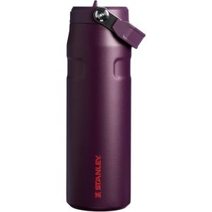 STANLEY IceFlow Flip Straw 2.0 Bottle, 24 oz, Caitlin Clark Future(Plum)